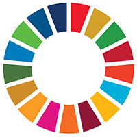Icon Graphic - a multi-colored pie chart graphic