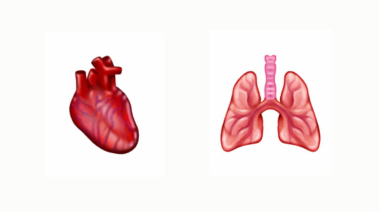 Heart and lung emoji courtesy of Emojipedia