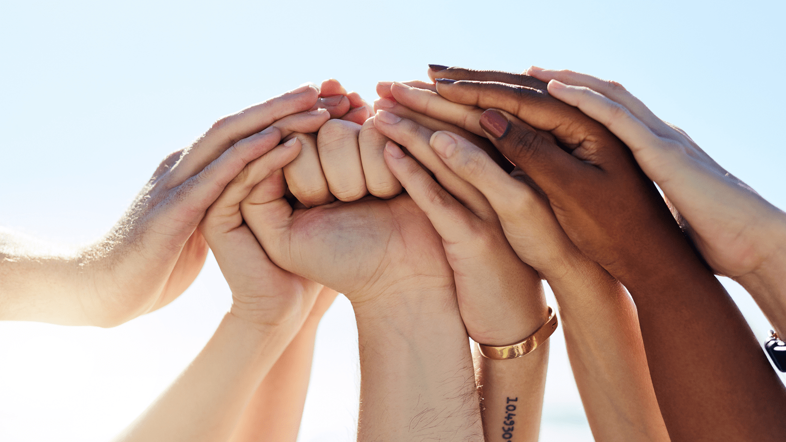 multiple hands holding