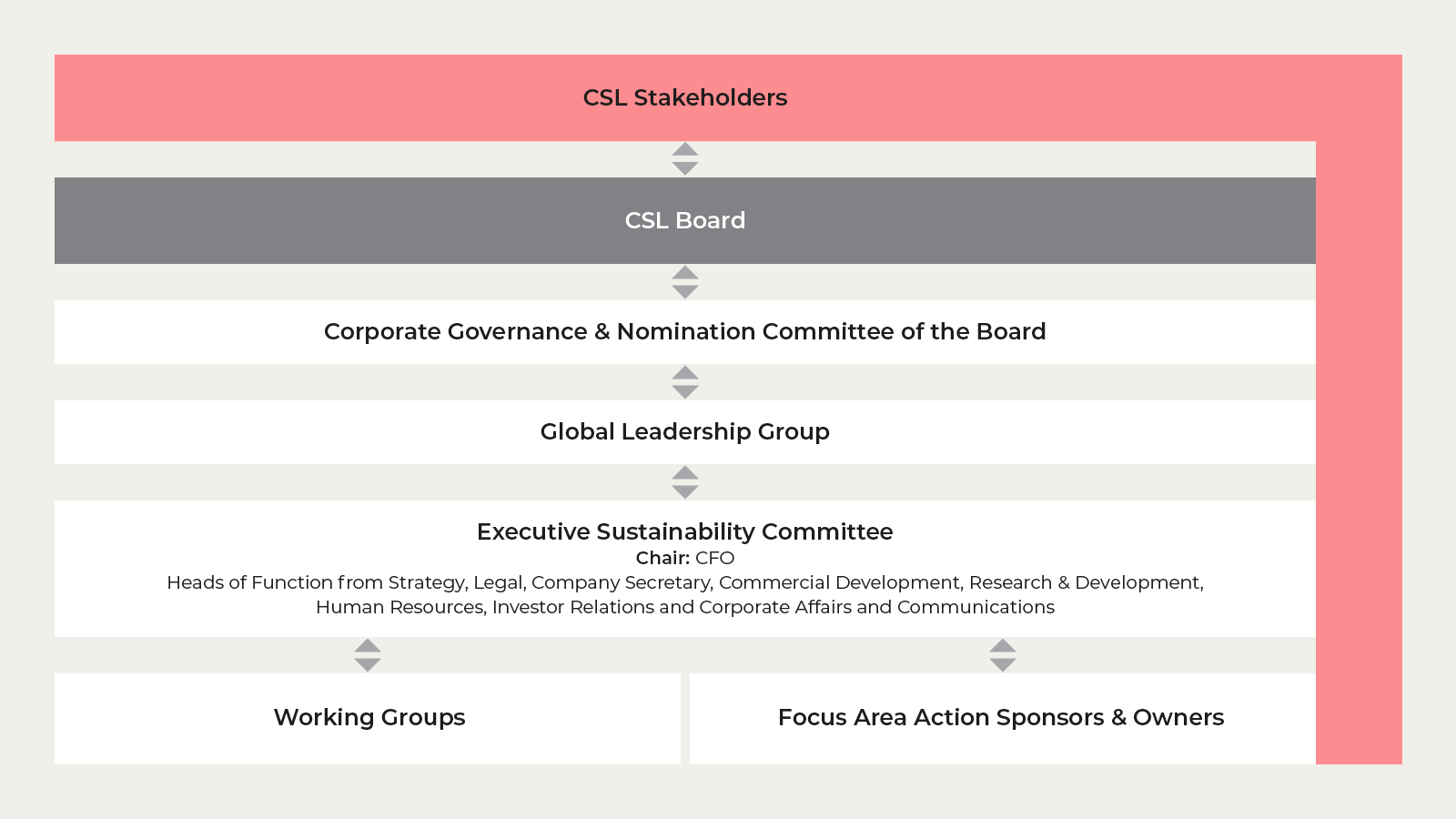 CSL Governance Diagram