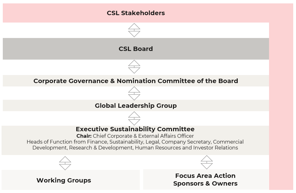 CSL Governance Diagram