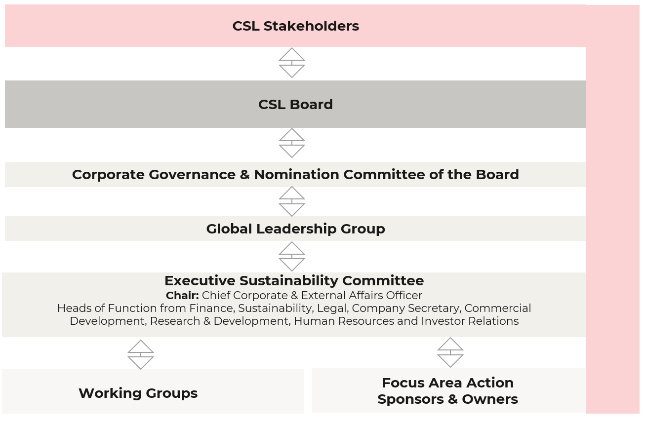 Graphic showing CSL's Sustainability Governance Structure