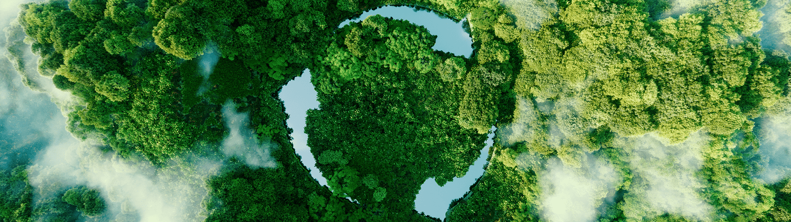 Image of green forest from above