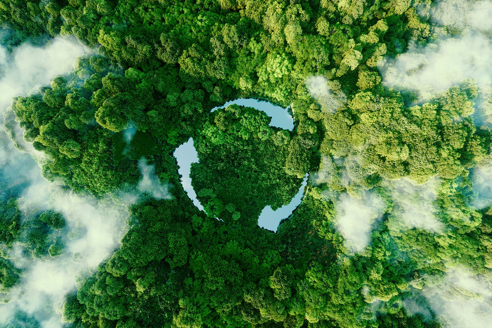 Image of green forest from above