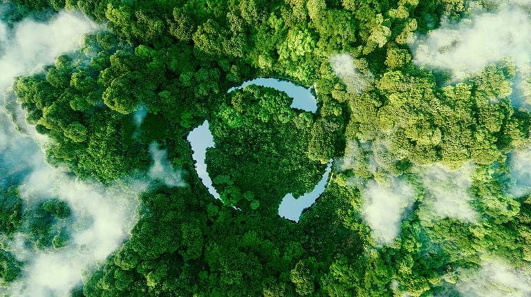 Image of green forest from above