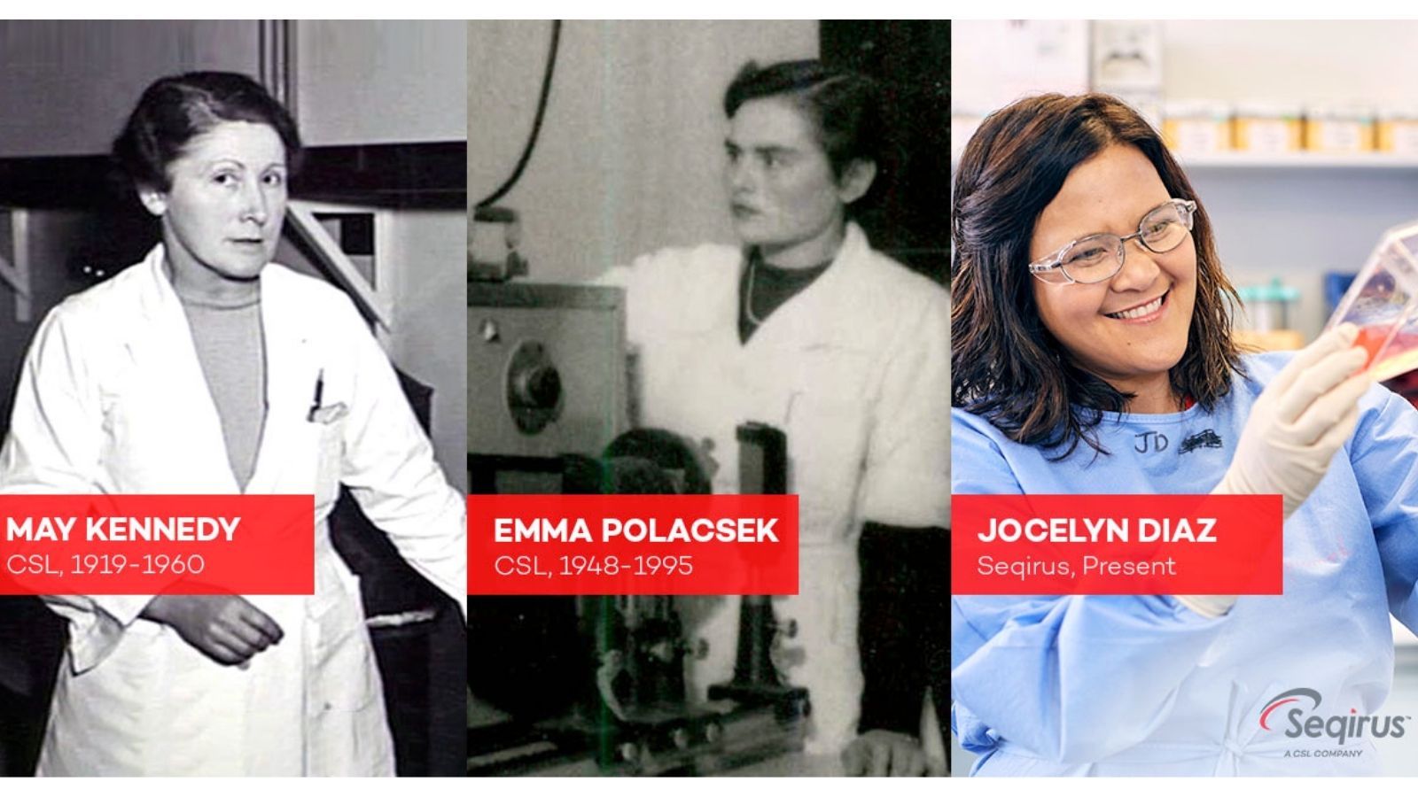 Trailblazing CSL women in STEM from 1919 to Today.