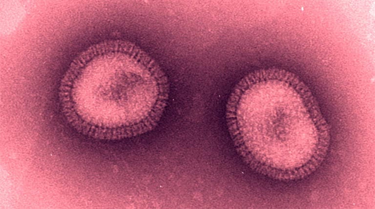 Influenza B Victoria Virus