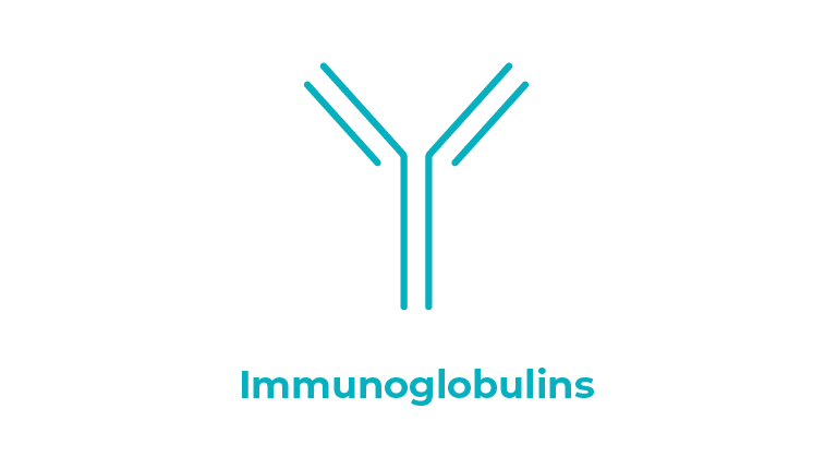 CSL - Therapeutic Area - Immunoglobulins - Inverse - Graphic
