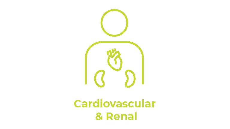 CSL - Therapeutic Area - Cardio & Renal - Inverse - Graphic