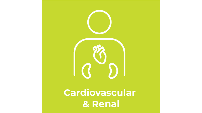 CSL - Therapeutic Area - Cardio & Renal - Solid - Graphic