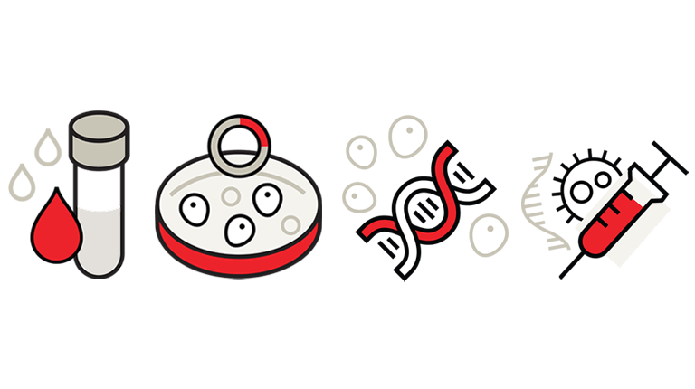 CSL Four Main R&D Capabilities