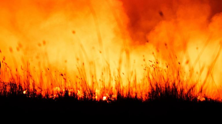 Bushfire