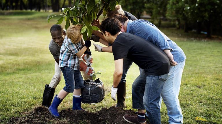 Community group planting a tree