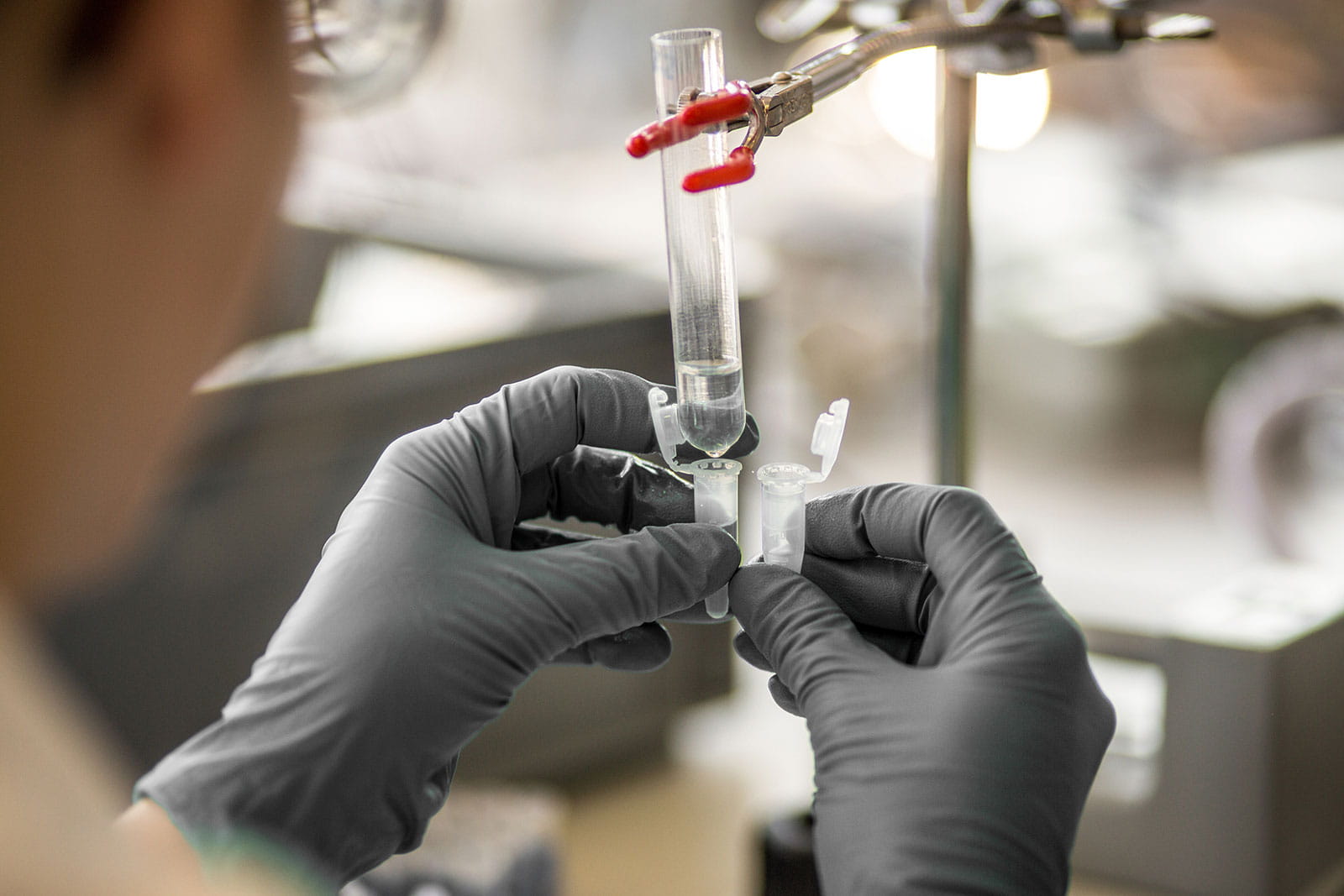 Bern researcher viewing sample