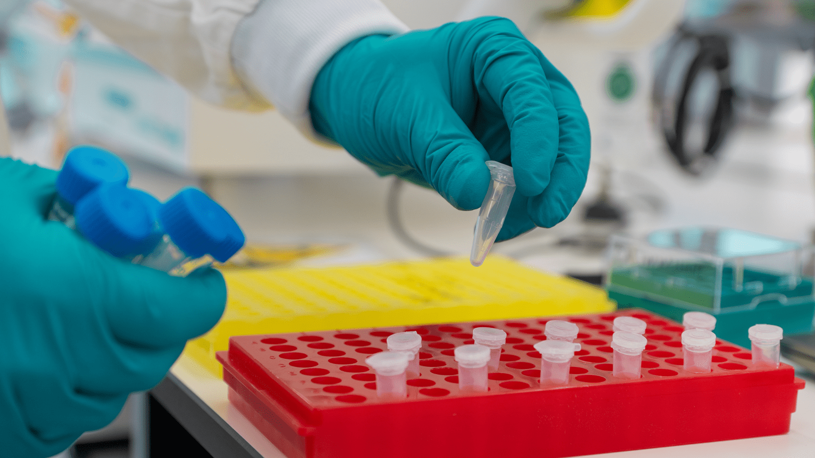 Photograph taken inside a sterile laboratory where a scientist is handling vials