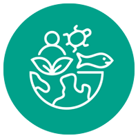 Icon Graphic - globe, human, fish and turtle