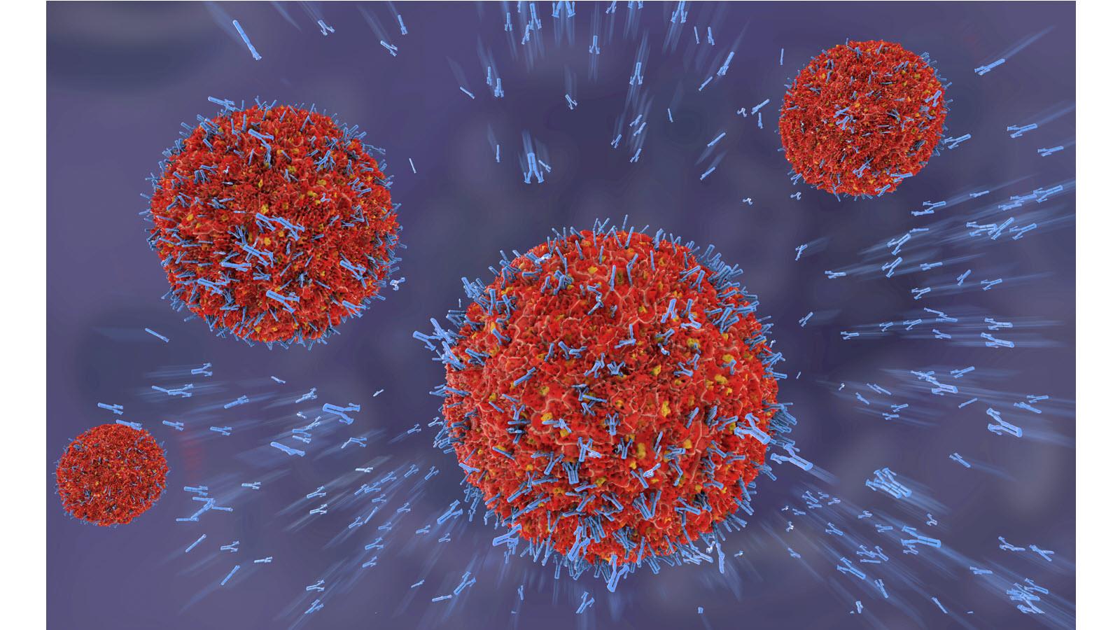 blue antibodies attacking red viruses