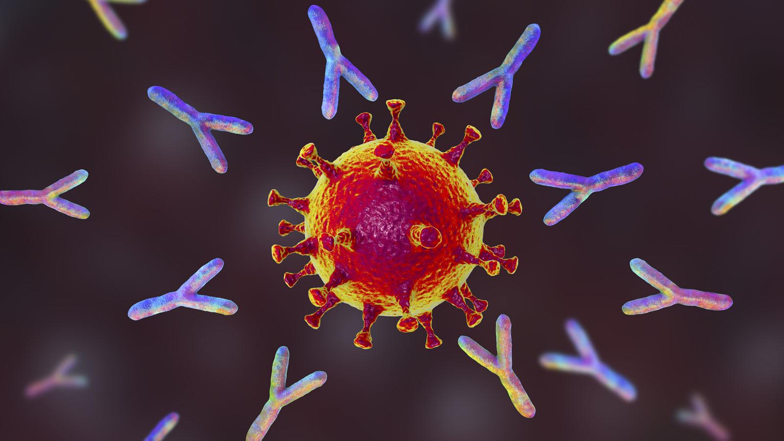 SARS-CoV-2 virus with spikes