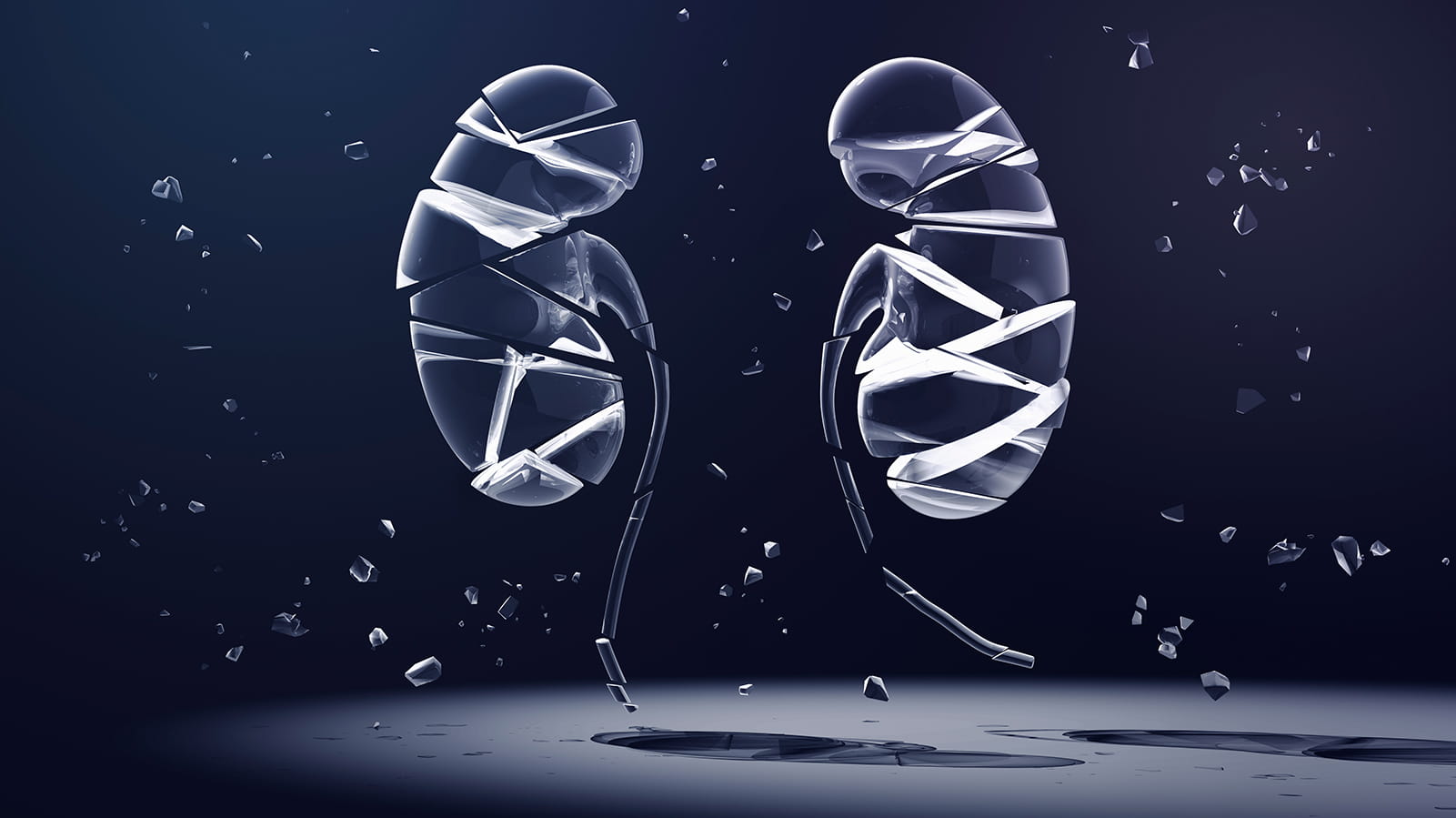 black and white image of two kidneys