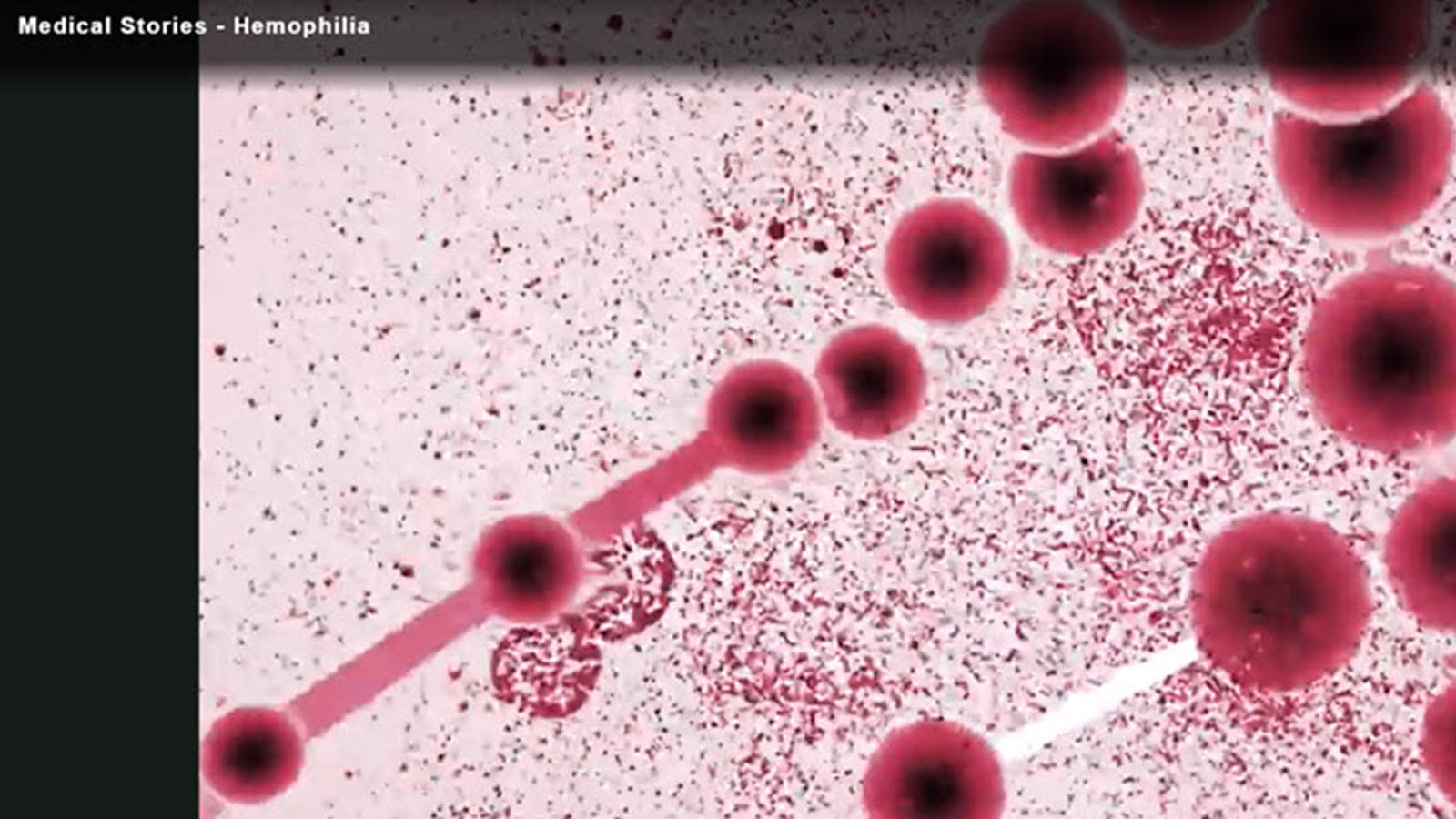 microscopic image of blood platelets