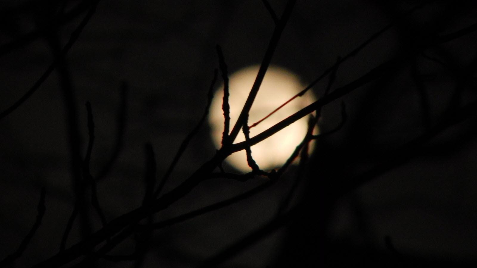 Full moon in Indiana, USA