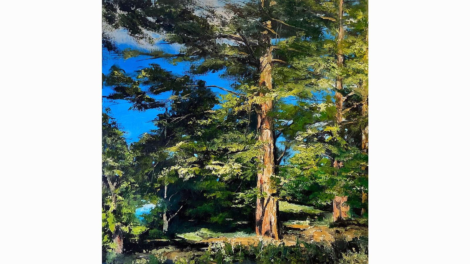 painting of Victoria, Australia, forest landscape