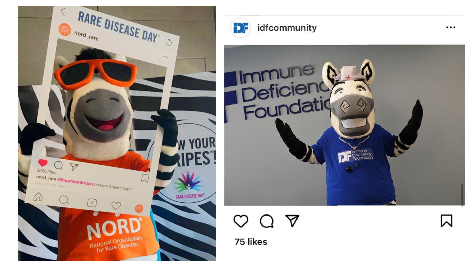 Two zebra mascots, including one in sunglasses representing the National Organization for Rare Disorders and the Immune Deficiency Foundation