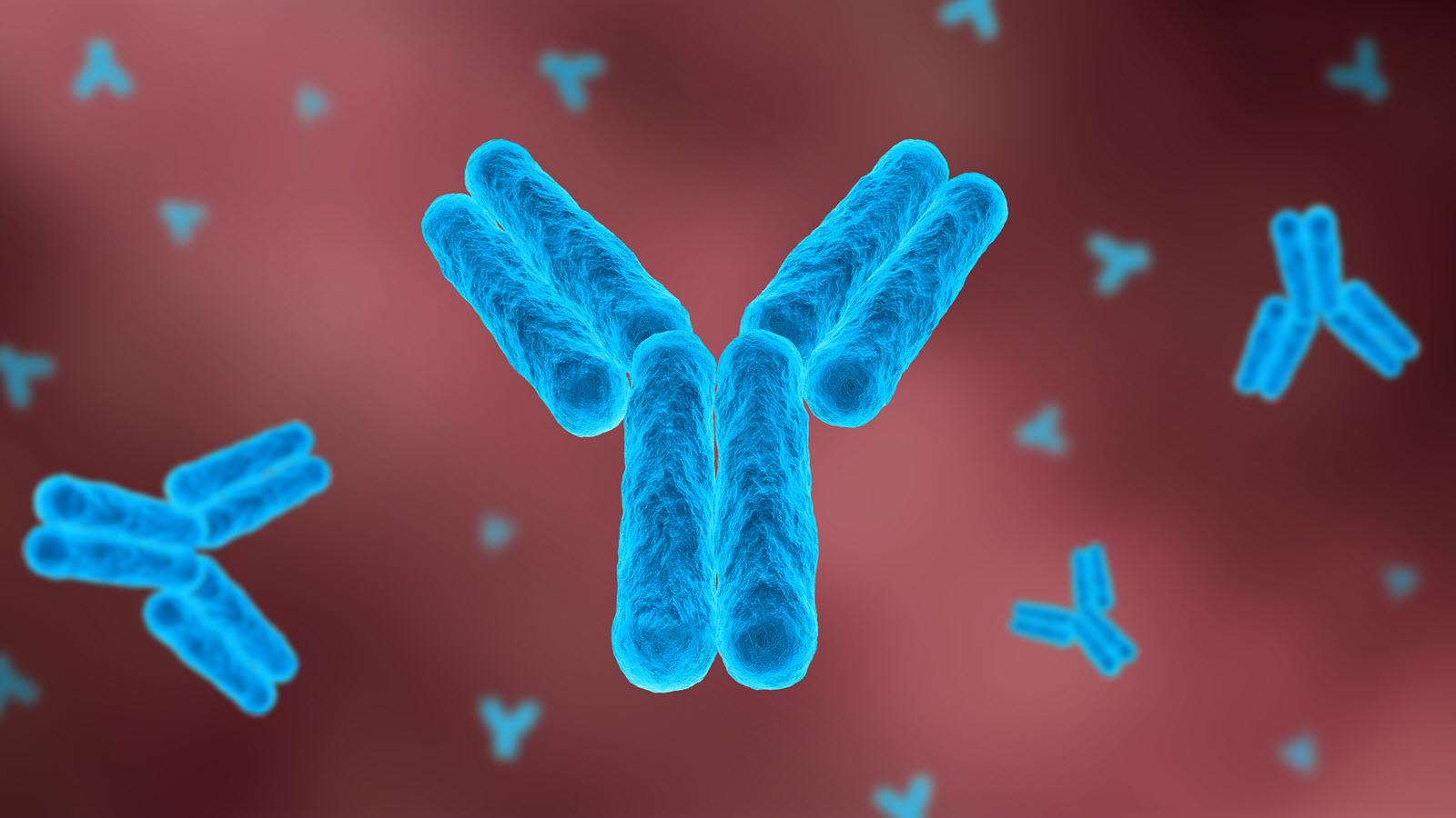 illustration of a blue Y-shaped antibody on red background