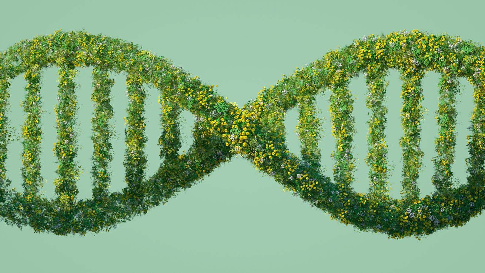 green illustration of a DNA strand made of plants and flowers