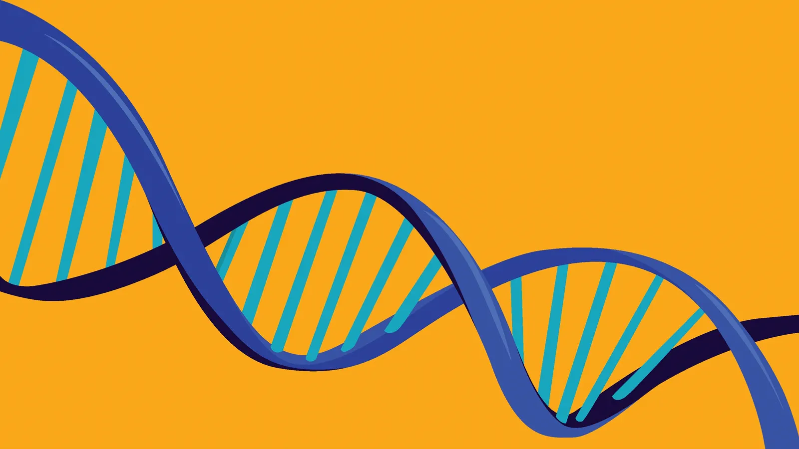 DNA twisted ladder strand on a yellow background
