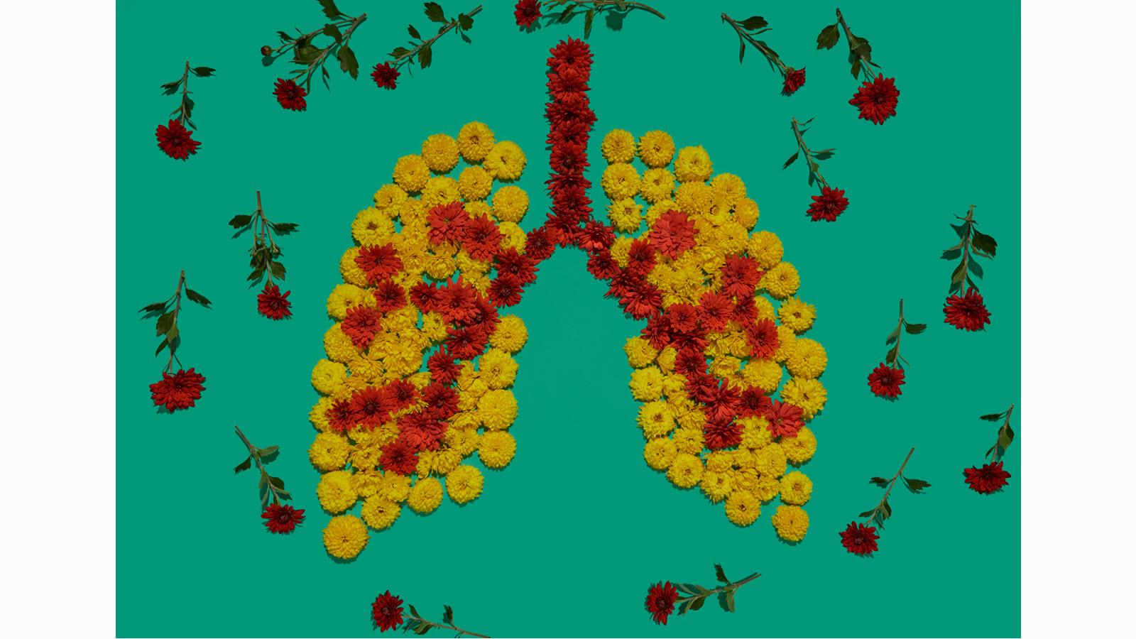 illustration of the lungs, trachea and bronchial tubes in yellow and red flowers