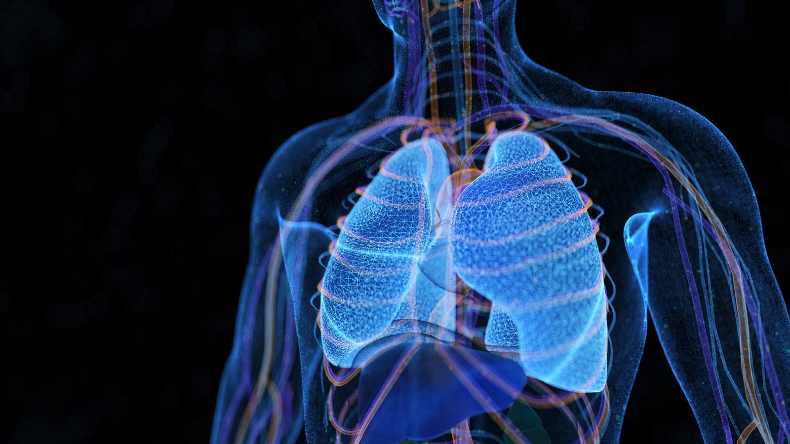 digital image of lungs
