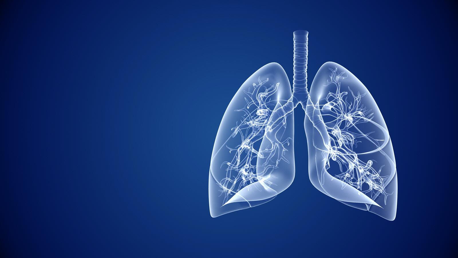 illustration of lungs on blue background