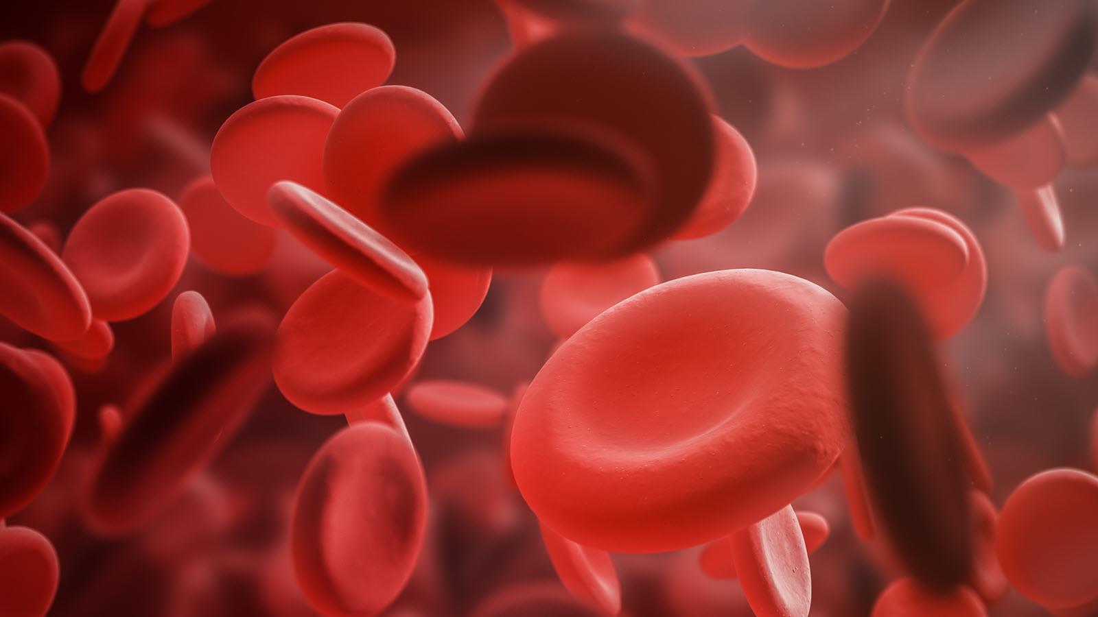 red blood cells with characteristic donut shape