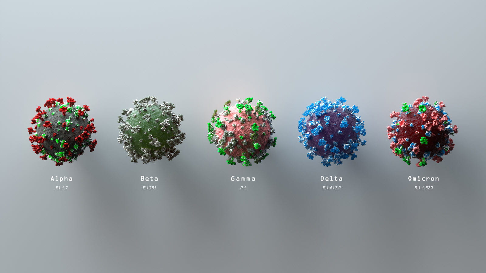Five SARS-CoV-2 variant viruses from Alpha to Omicron