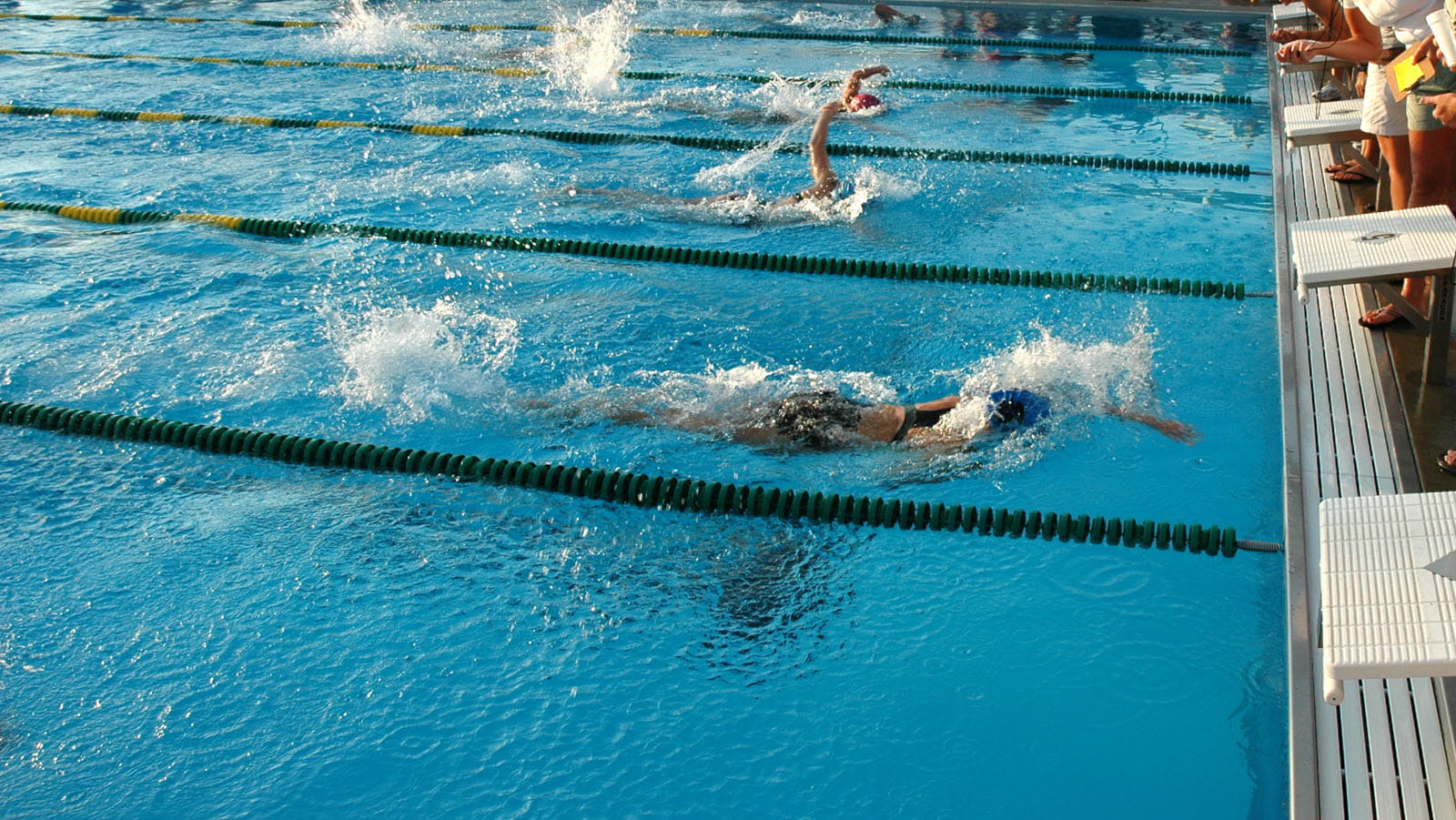 swimmers racing in lanes in a pool