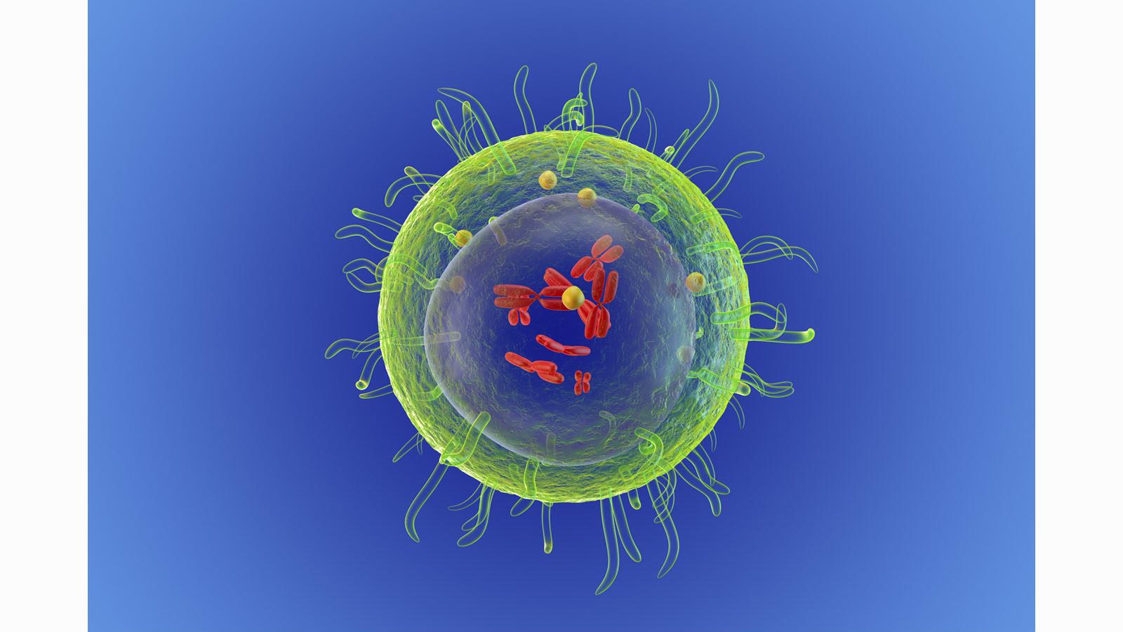medical illustration of a T cell on a blue background