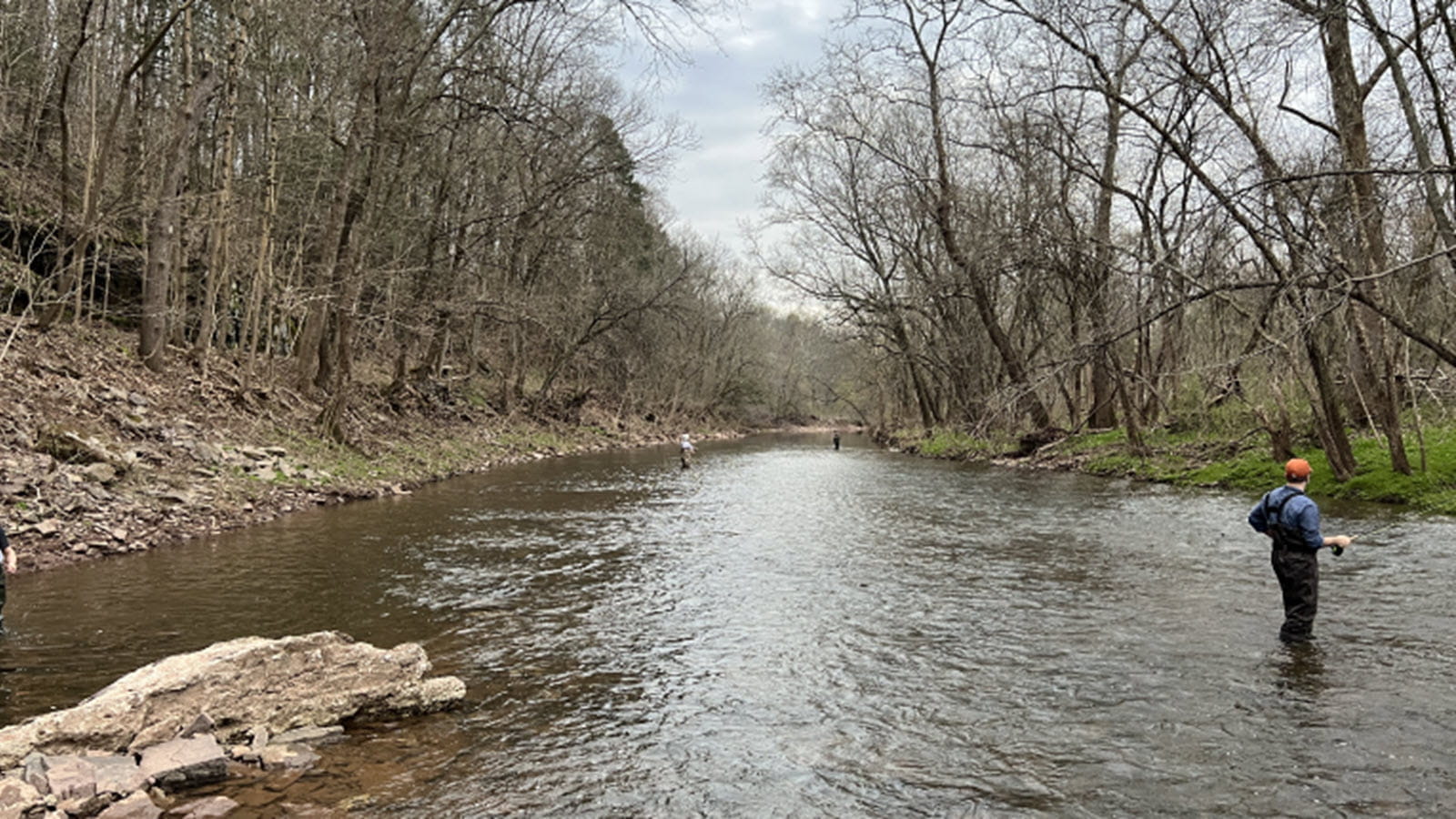 A fly fisherman wades in a peaceful creek.