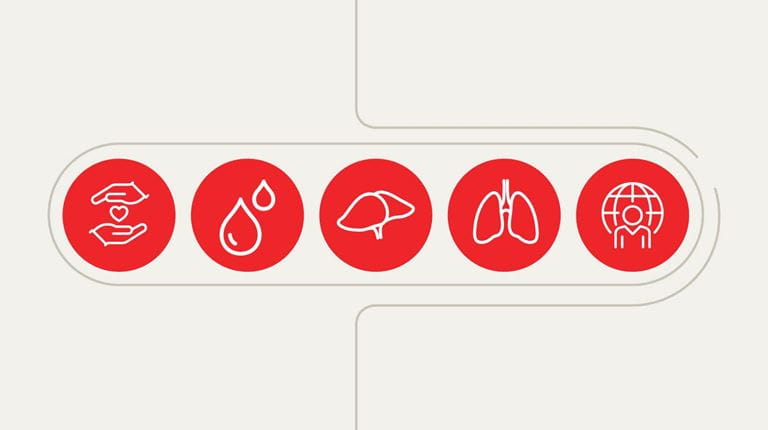Icons - including lungs - symbolizing Alpha 1 facts