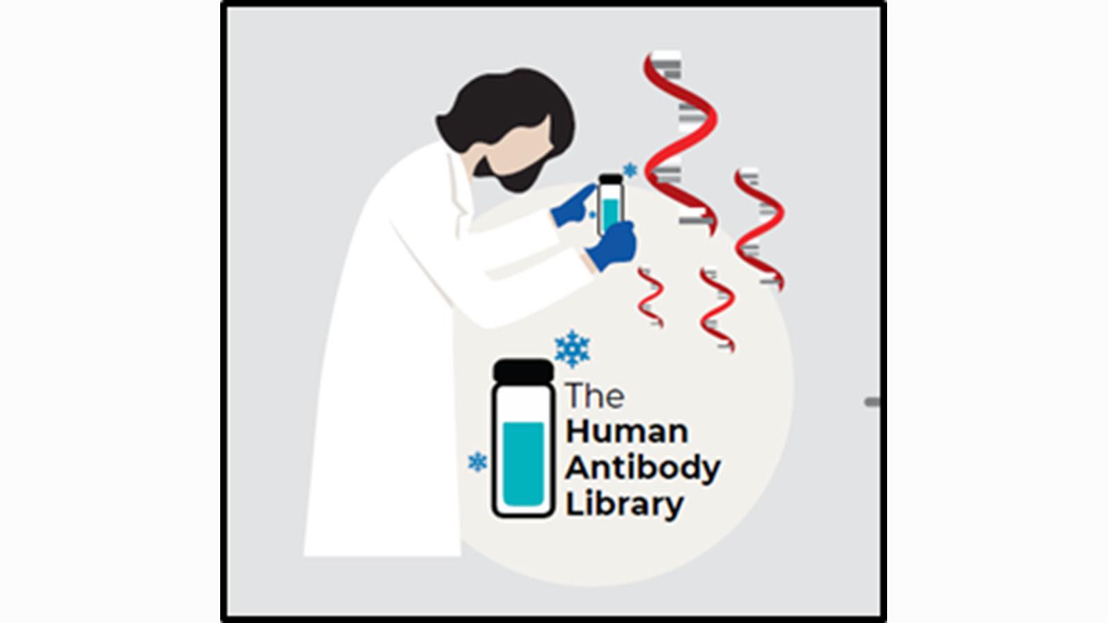 The Human Antibody Library logo - scientist in a lab coat