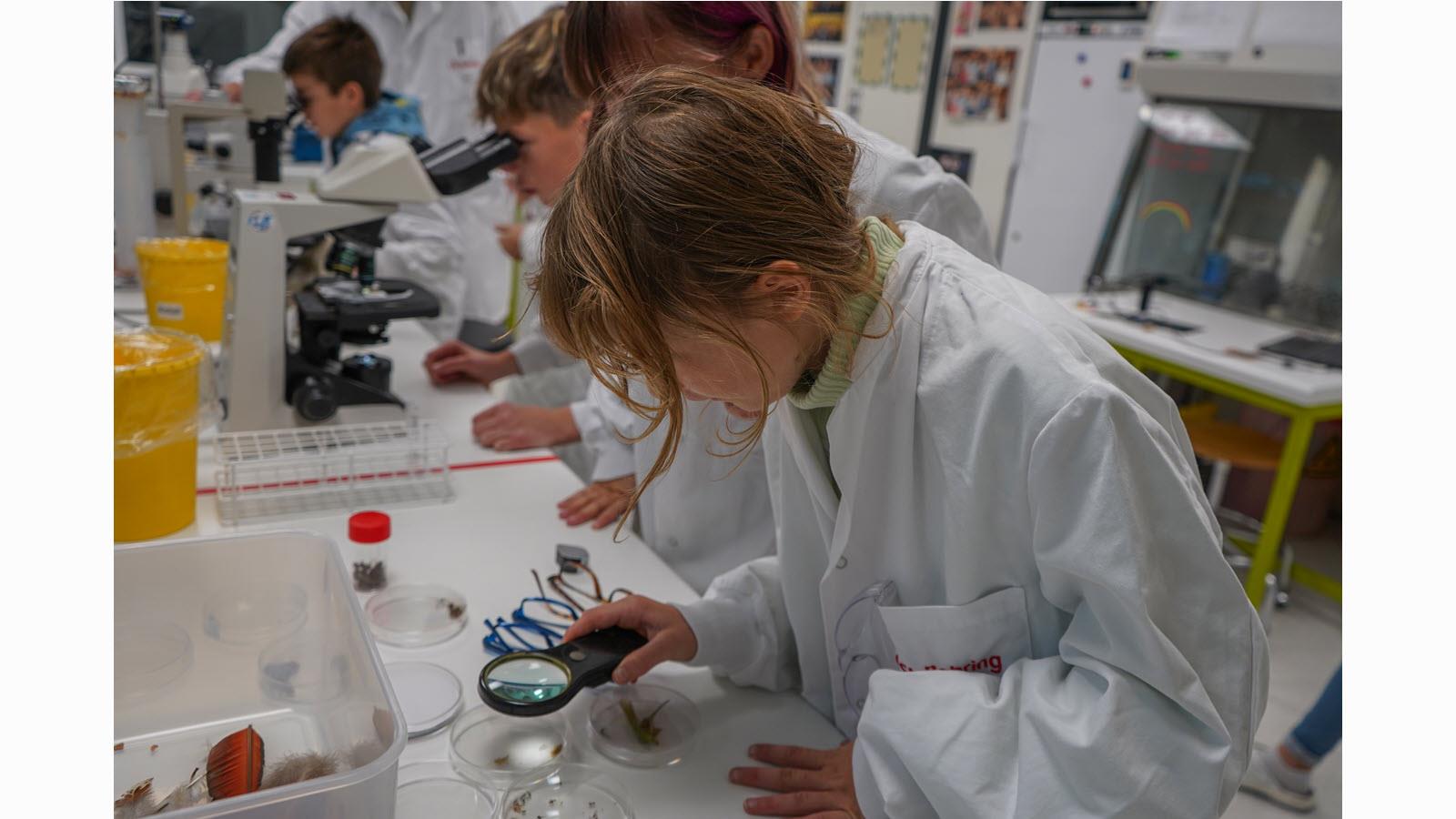 Children observe through microscopes on Swiss Future Day.