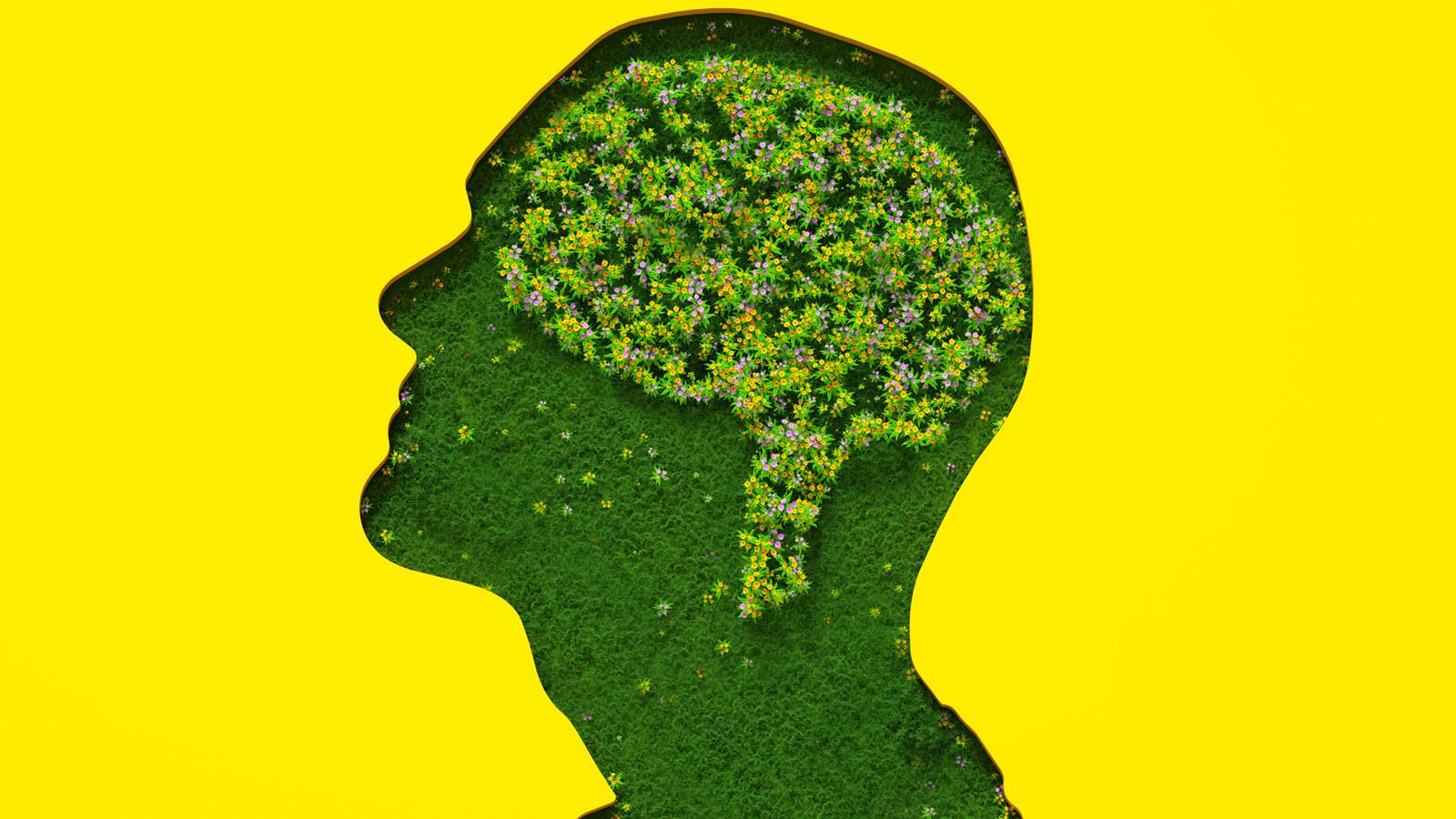 profile image illustration of greenery and flowers growing in the brain 