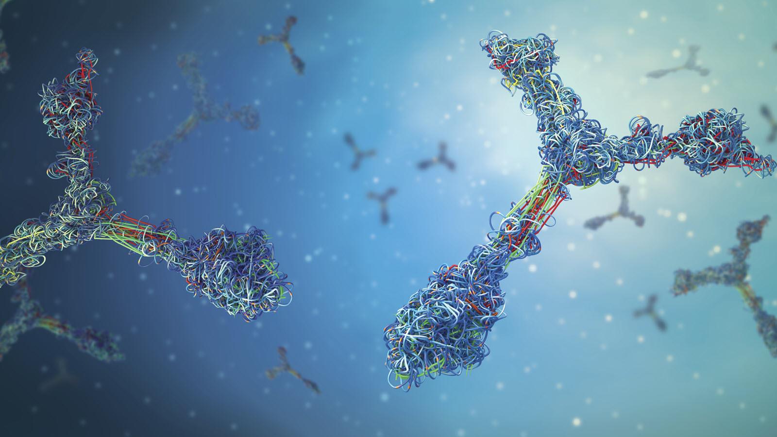 illustration of Y-shaped antibodies