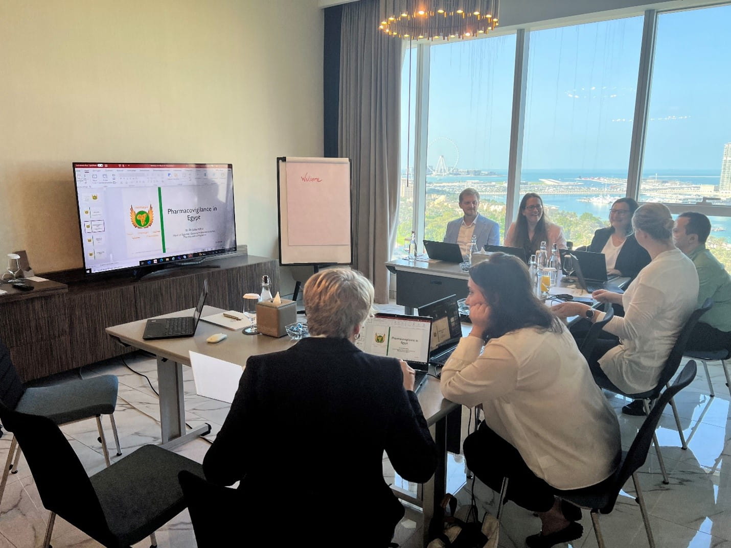 Participants in Project Hemaya discuss pharmacovigilance around a conference table in Dubai