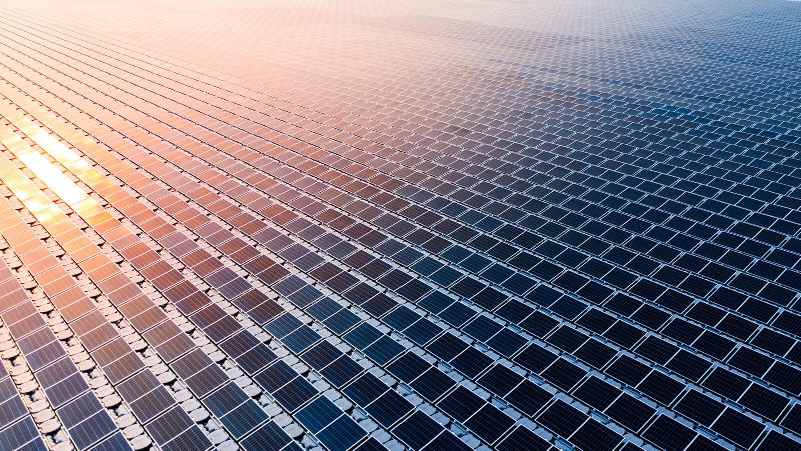 solar energy panels reflecting the sun