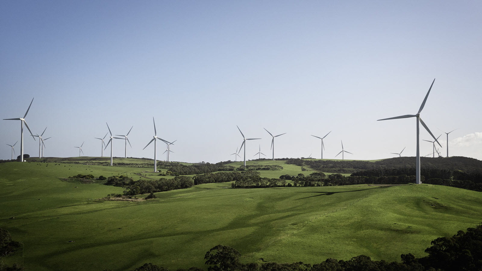 Wind farm in Australia