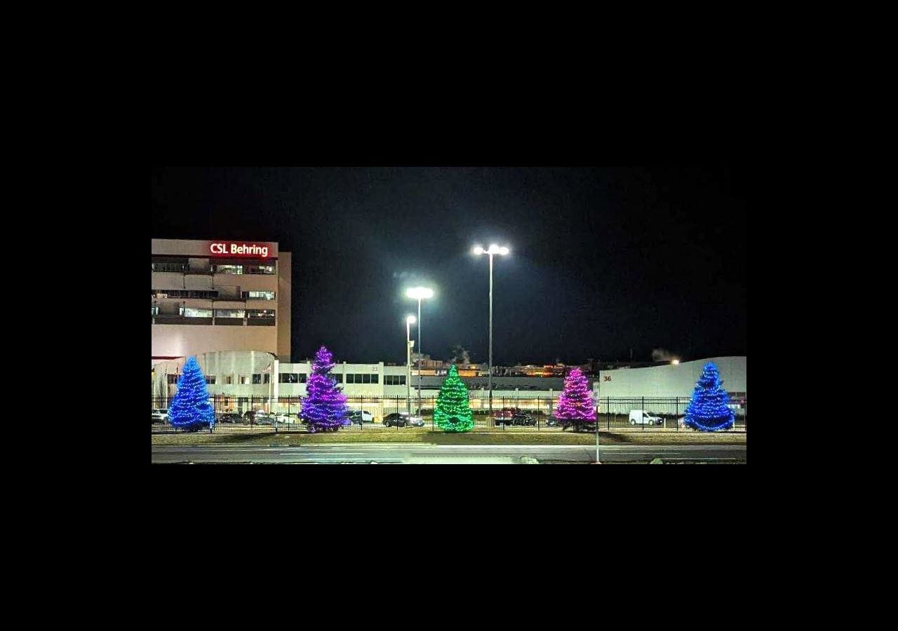 A row of trees illuminated for Rare Disease Day outside CSL Behring's Kankakee, Illinois, manufacturing facility 