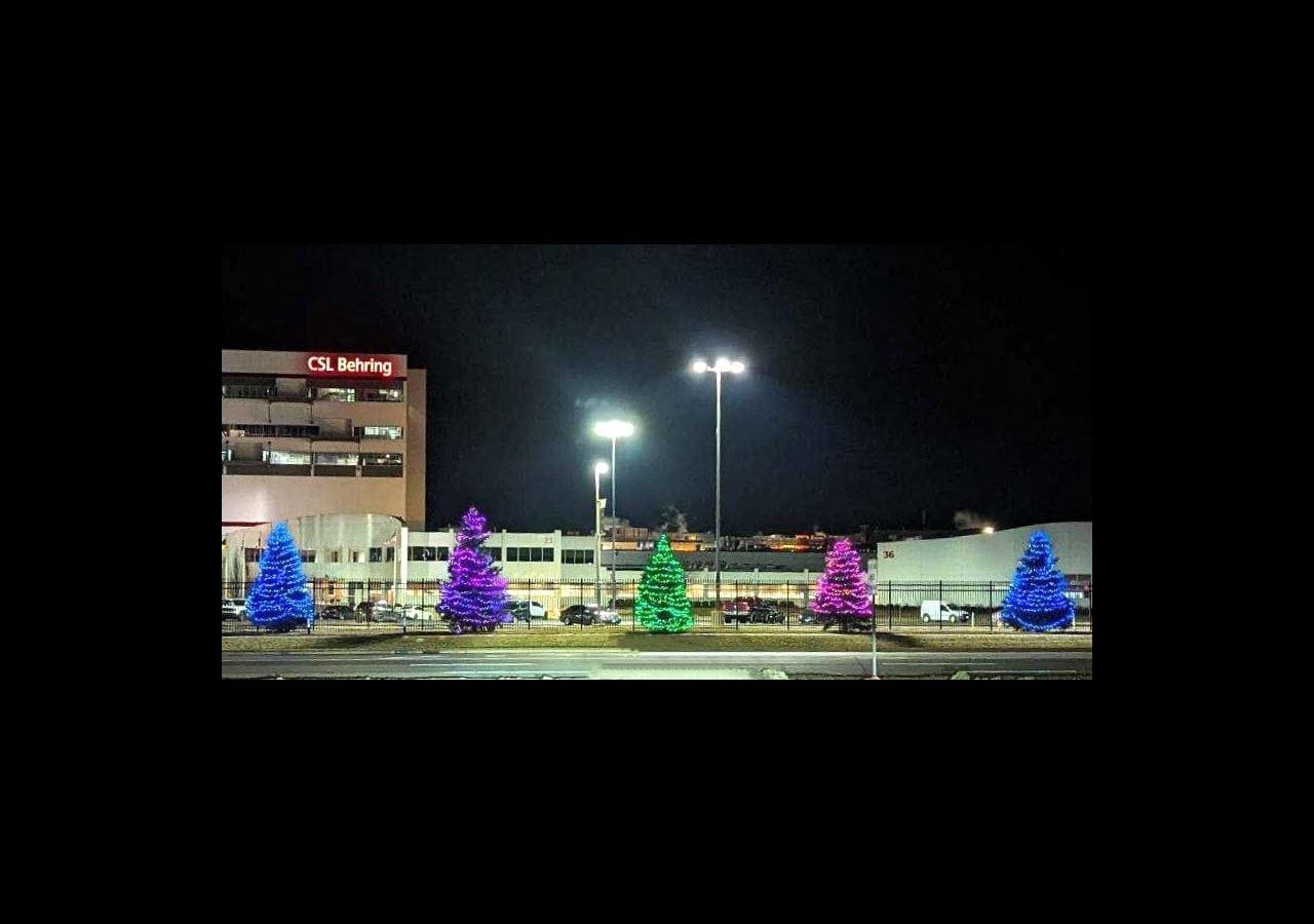 A row of trees illuminated for Rare Disease Day outside CSL Behring's Kankakee, Illinois, manufacturing facility
