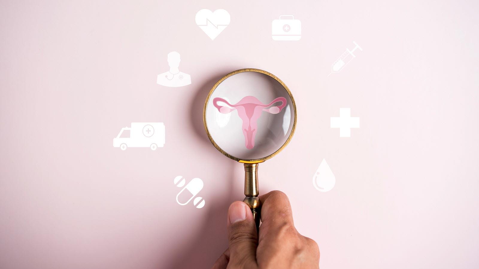 magnifying glass over female reproductive system