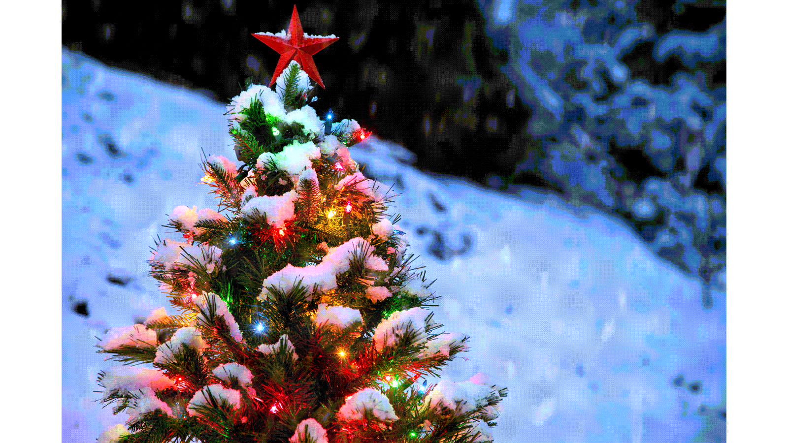 Christmas tree to illustrate Christmas disease, another name for hemophilia B